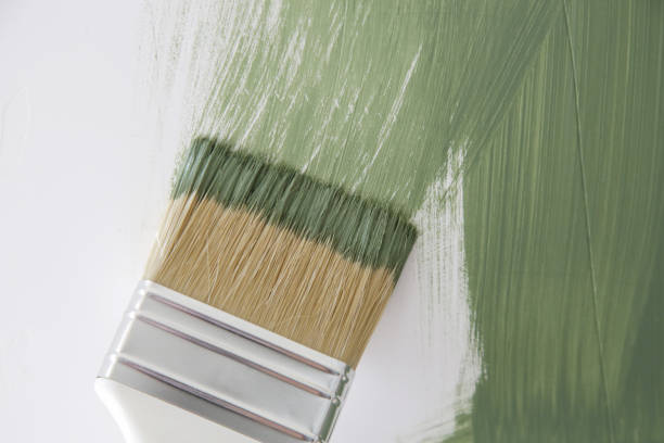 Best Attic Mold Removal  in Riverton, UT