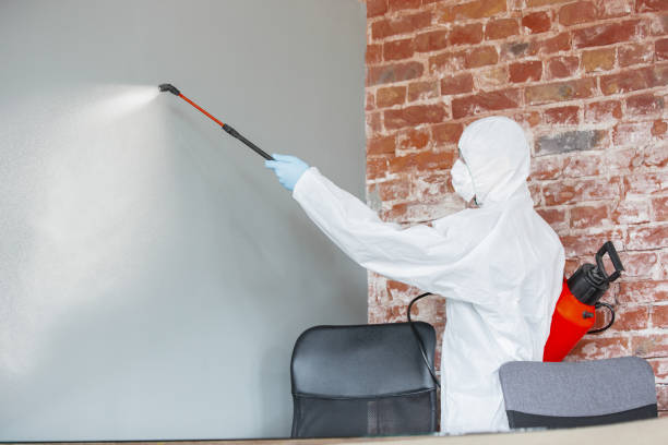 Best Air Quality Testing for Mold Spores  in Riverton, UT