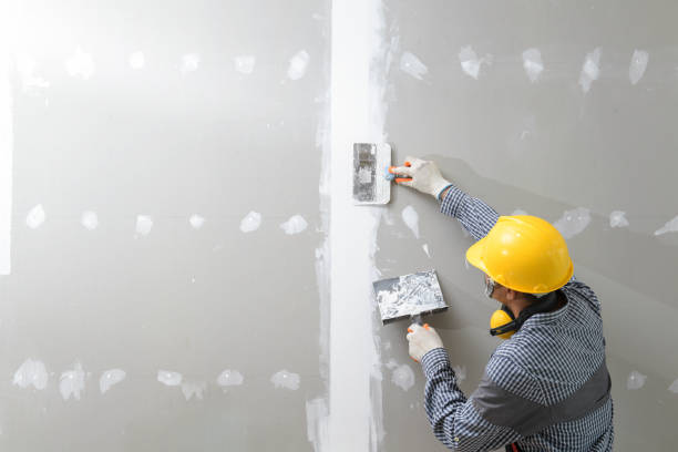 Best Mold-Related Health Consultation  in Riverton, UT
