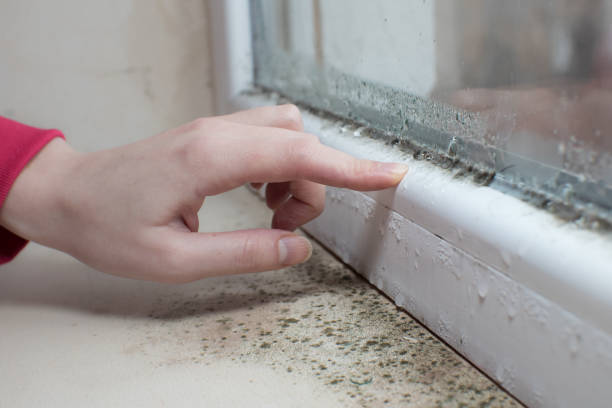 Best Biohazard Mold Removal  in Riverton, UT