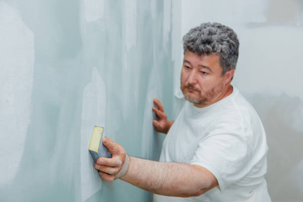 Best Environmental Consulting for Mold Prevention  in Riverton, UT