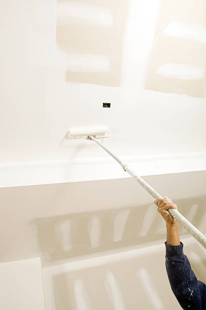 Best Basement Mold Removal  in Riverton, UT