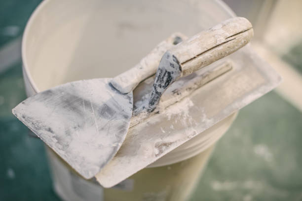 Best Mold Damage Restoration  in Riverton, UT